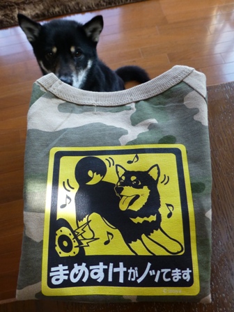 犬屋Tシャツ41