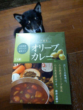 オリーブカレー1