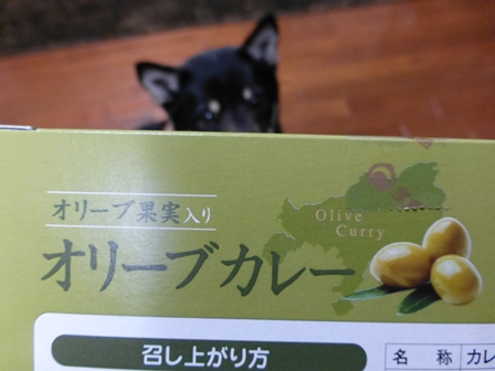 オリーブカレー2