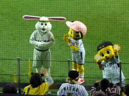 阪神中日京セラドーム25