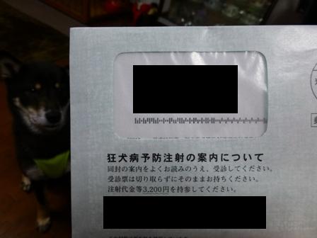 ウェルネス会員6