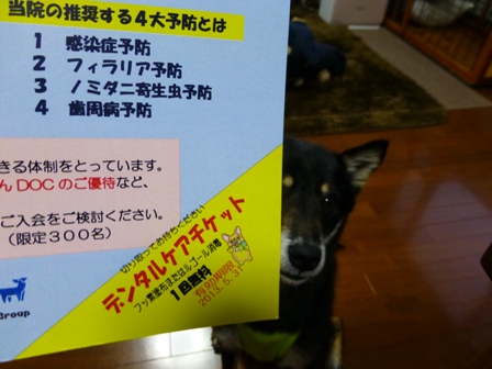 ウェルネス会員7