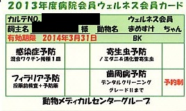 ウェルネス会員8