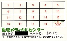 ウェルネス会員11