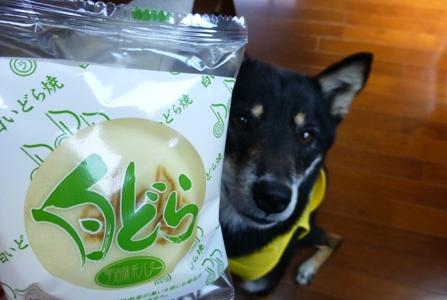 わらく堂白どら9