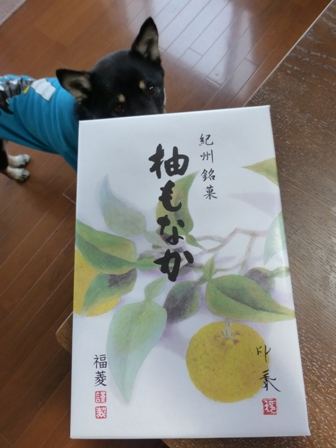 柚もなか1