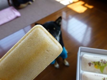柚もなか6