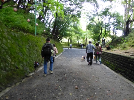 上野城1