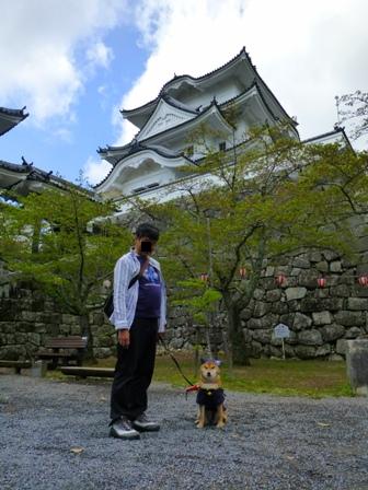上野城5
