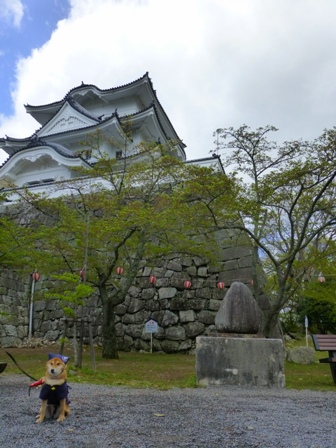 上野城6