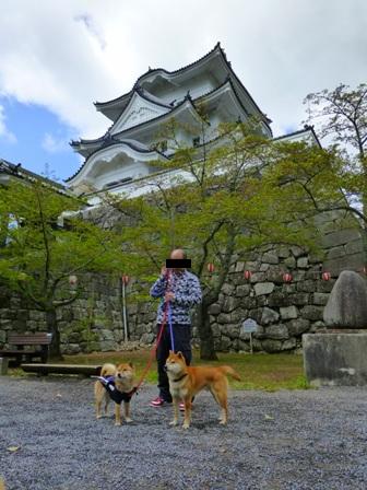 上野城7