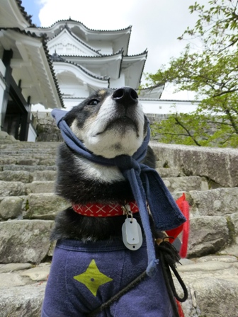 上野城13
