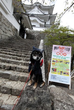 上野城16