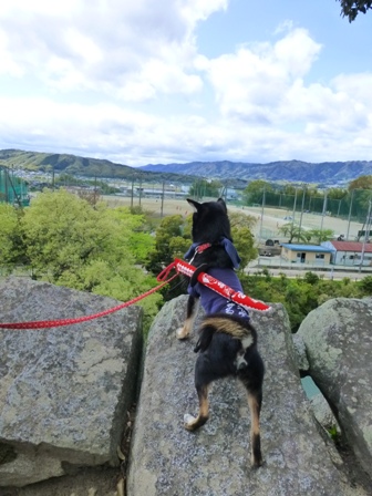 上野城25