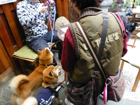 むらい萬香園11