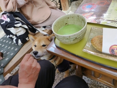 むらい萬香園22