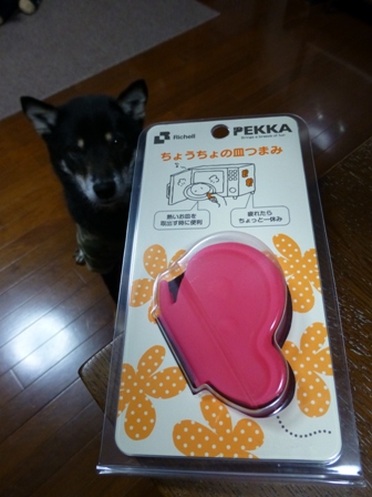 お土産ポキ5