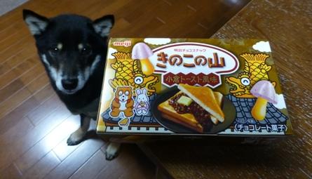お土産ポキ13