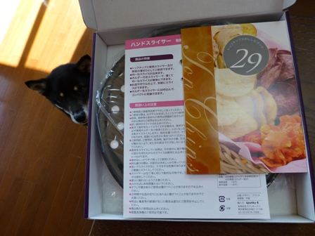 トップチップス6