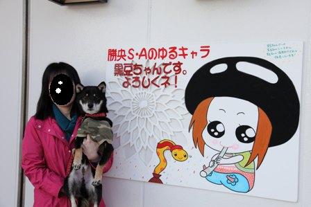 日御碕1