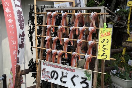日御碕4