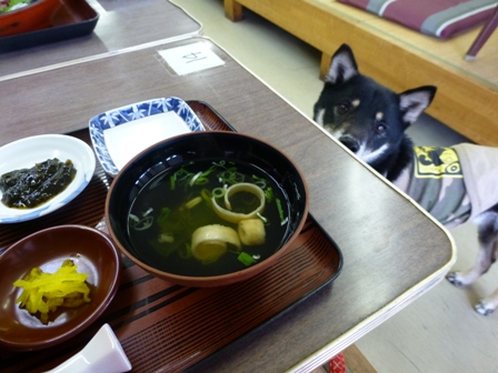 日御碕26
