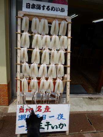 日御碕30