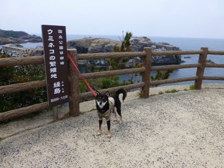 日御碕32
