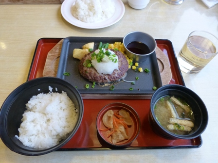 ジョイフル平田店9