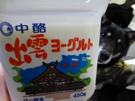 出雲ヨーグルト4