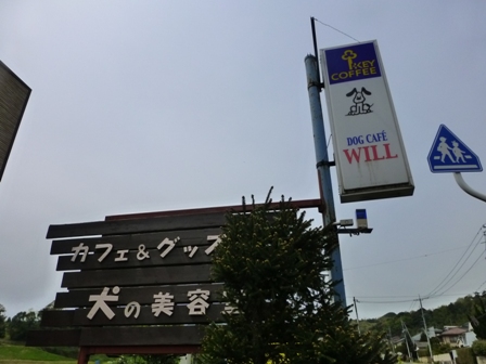 DOG CAFE WILL6