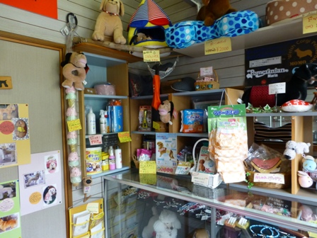 DOG CAFE WILL15