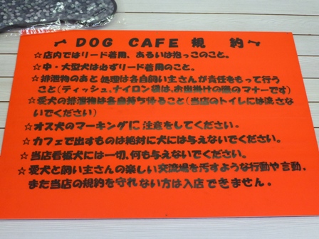 DOG CAFE WILL16