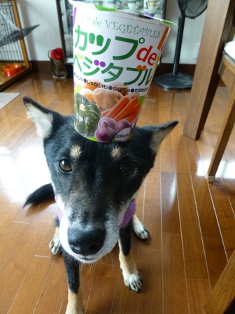 カップdeベジタブル3