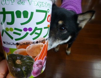 カップdeベジタブル5