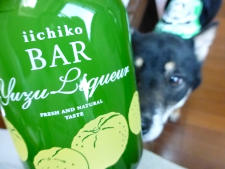 iichikoBARゆず3