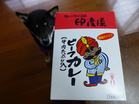 印度屋カレー2