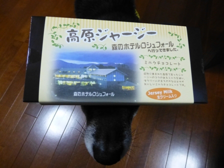 2013GW旅行お土産4