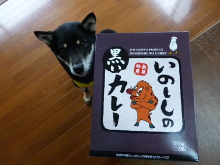 2013GW旅行お土産5