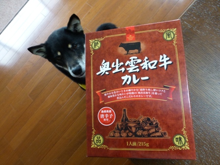 2013GW旅行お土産6