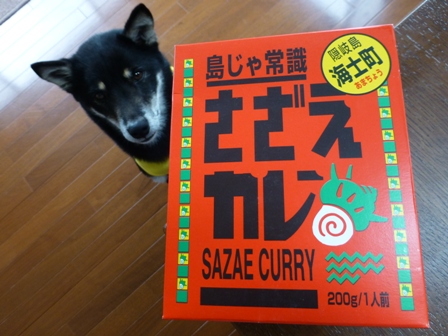 2013GW旅行お土産8
