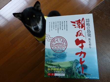 2013GW旅行お土産9