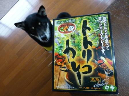 2013GW旅行お土産10