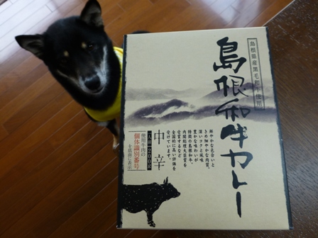 2013GW旅行お土産11