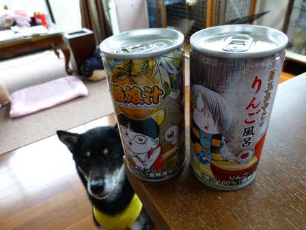 2013GW旅行お土産12