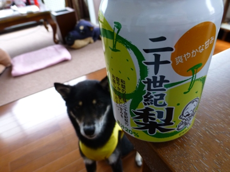2013GW旅行お土産13