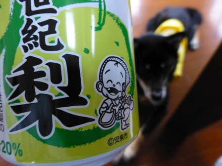 2013GW旅行お土産14