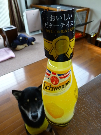 2013GW旅行お土産16