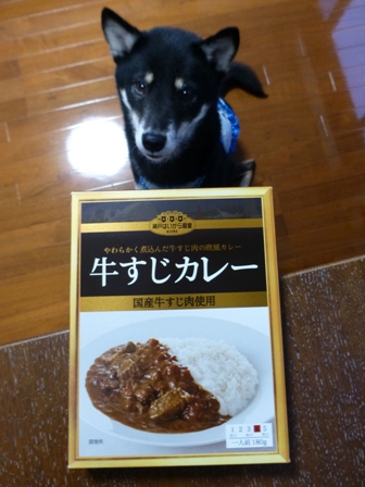 牛すじカレー2