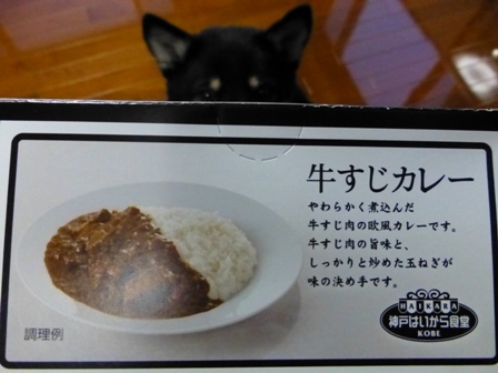 牛すじカレー3